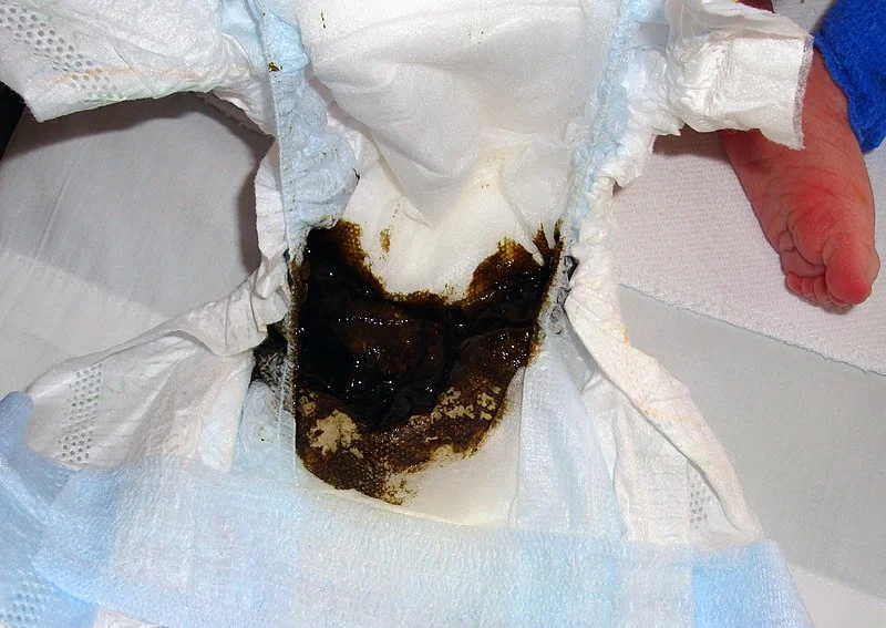 Meconium